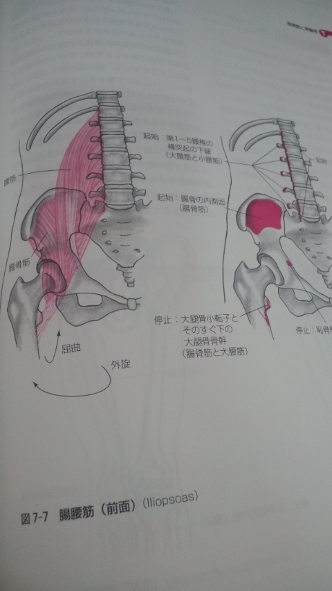 120828_1610~01.jpg